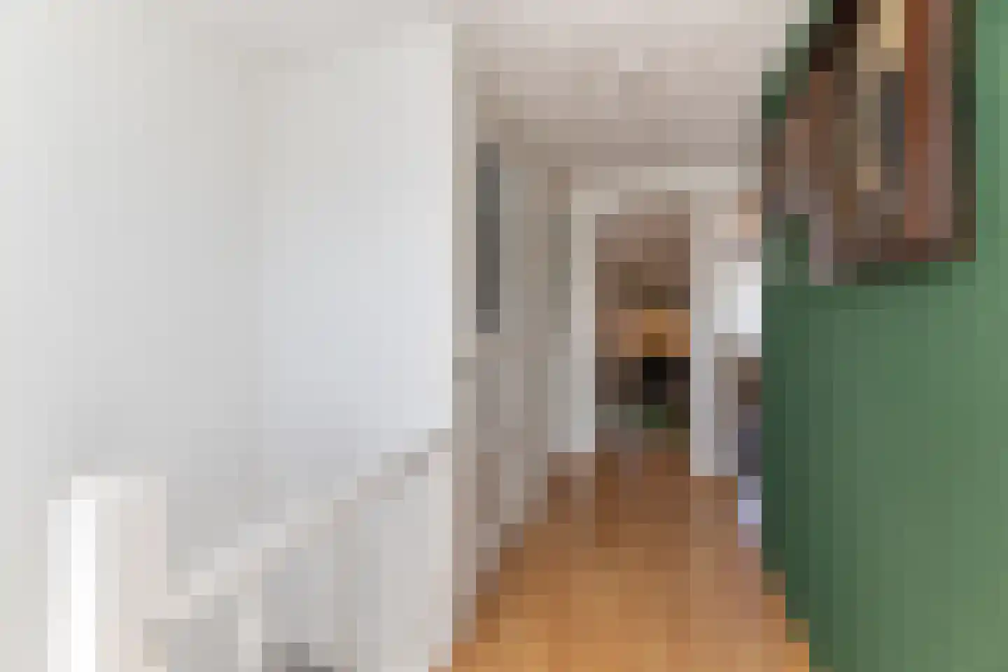 Arent van 's Gravesandestraat 6 Tilburg thumbnail 22