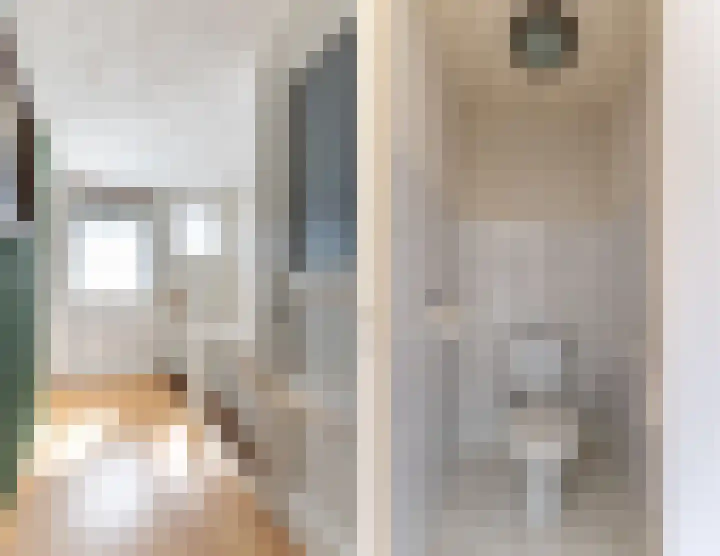 Arent van 's Gravesandestraat 6 Tilburg thumbnail 23