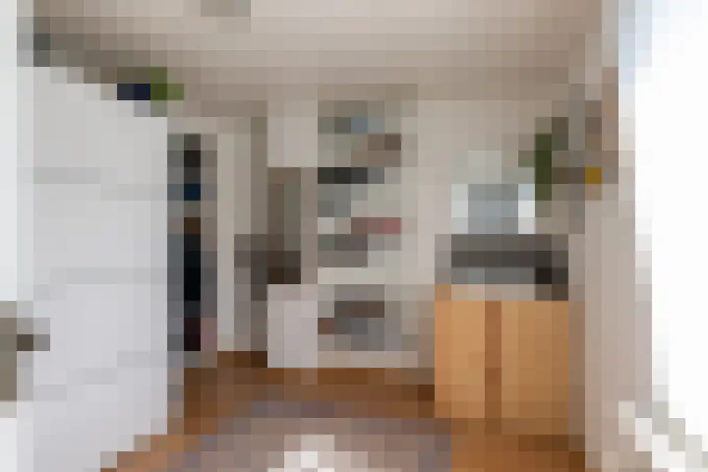 Arent van 's Gravesandestraat 6 Tilburg thumbnail 24