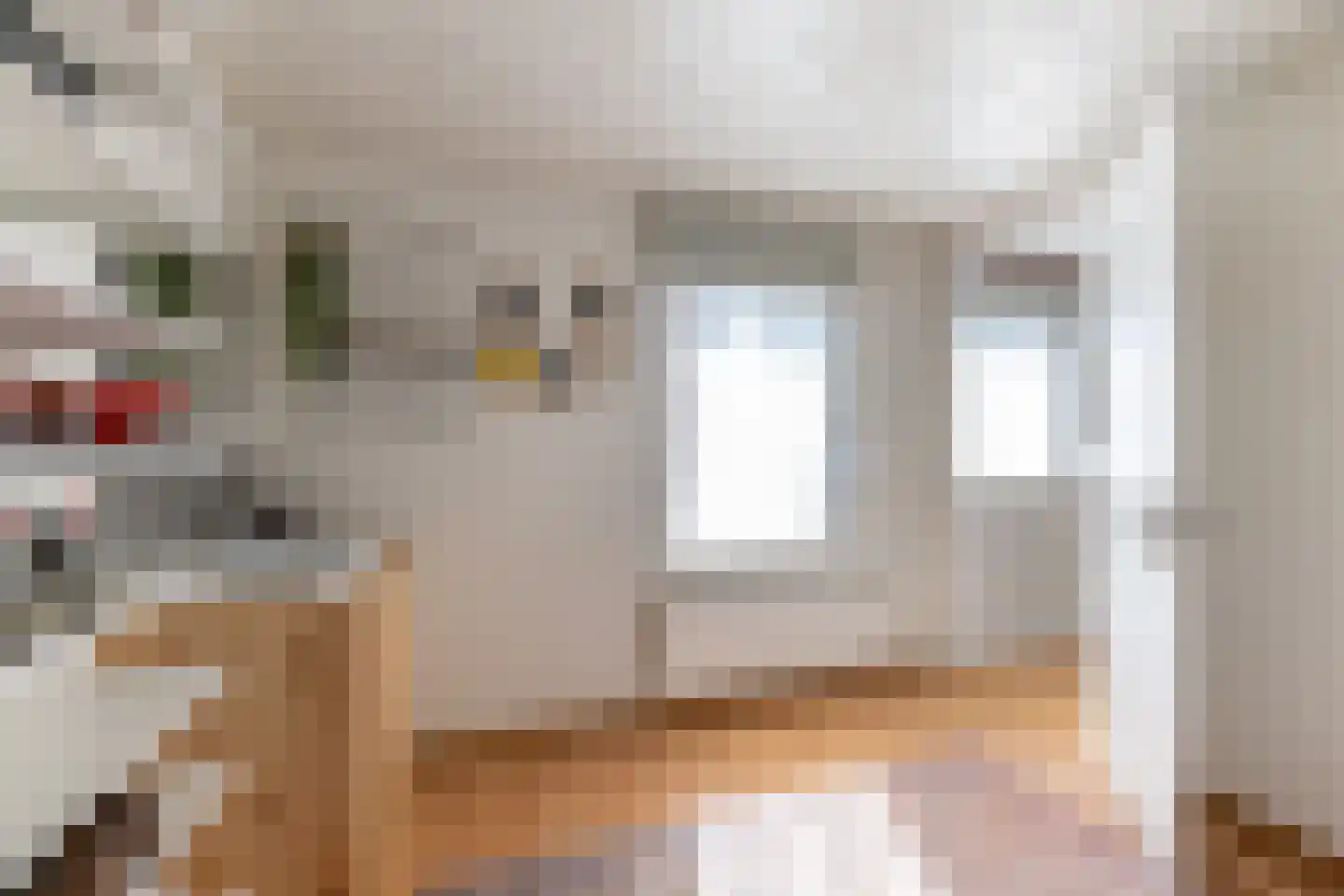 Arent van 's Gravesandestraat 6 Tilburg thumbnail 25