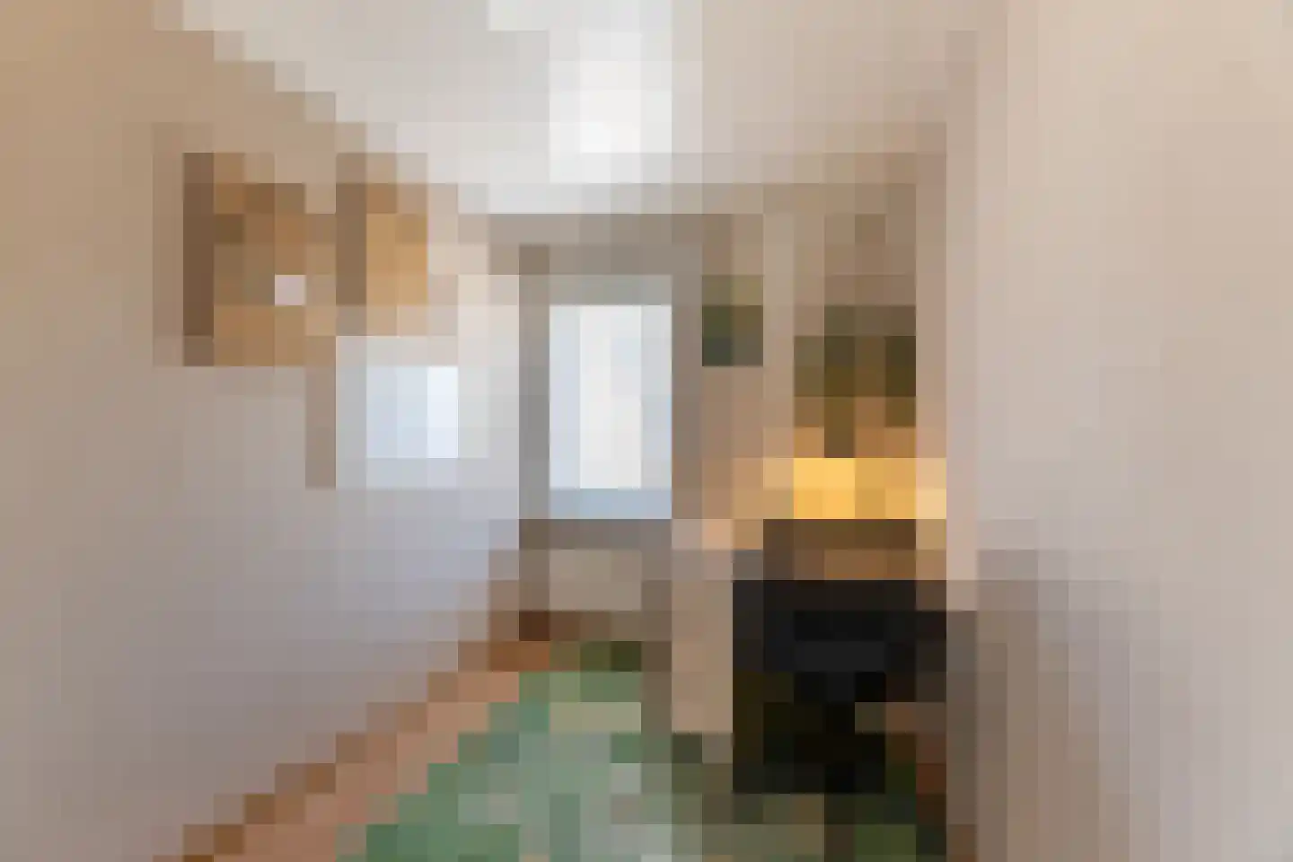 Arent van 's Gravesandestraat 6 Tilburg thumbnail 26