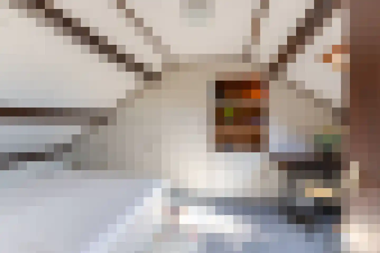 Arent van 's Gravesandestraat 6 Tilburg thumbnail 31