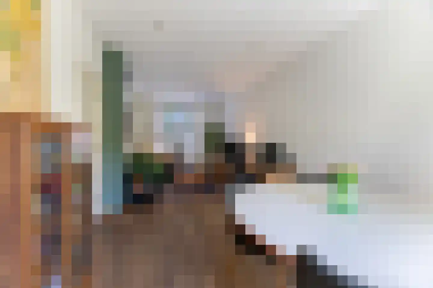 Arent van 's Gravesandestraat 6 Tilburg thumbnail 7
