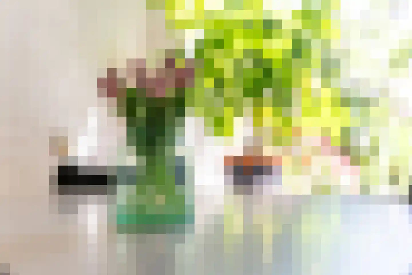Arent van 's Gravesandestraat 6 Tilburg thumbnail 8