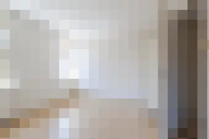 Arent van 's Gravesandestraat 8 Tilburg thumbnail 11