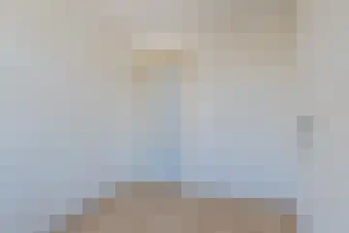 Arent van 's Gravesandestraat 8 Tilburg thumbnail 13