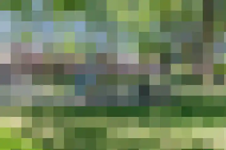 Arent van 's Gravesandestraat 8 Tilburg thumbnail 25