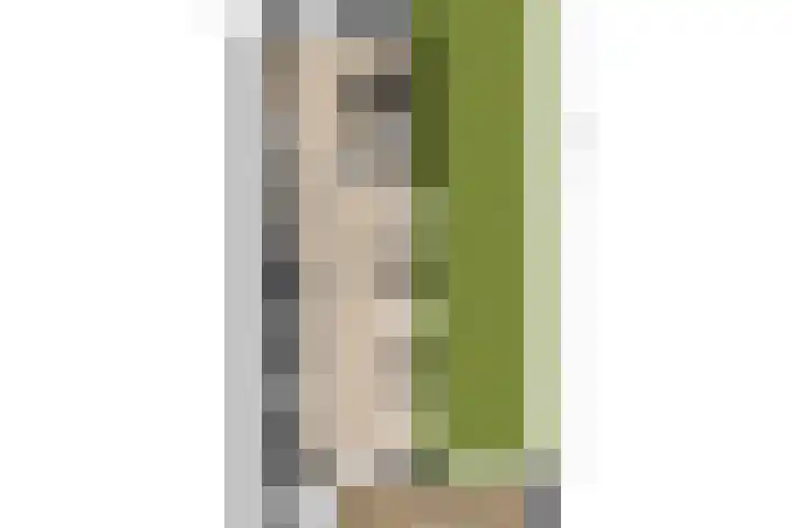 Arent van 's Gravesandestraat 8 Tilburg thumbnail 28