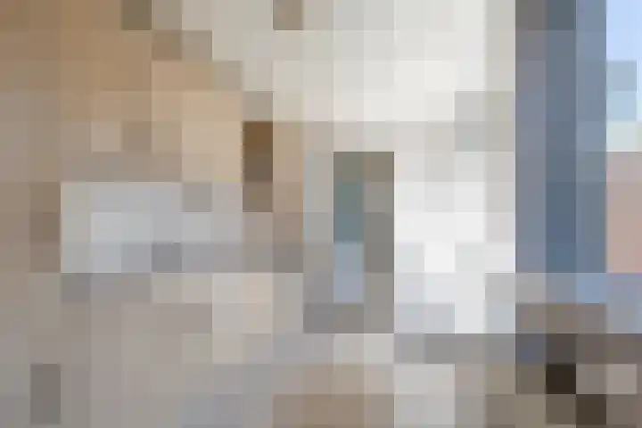 Arent van 's Gravesandestraat 8 Tilburg thumbnail 4