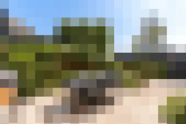 Arentsburg 122 Dordrecht thumbnail 30