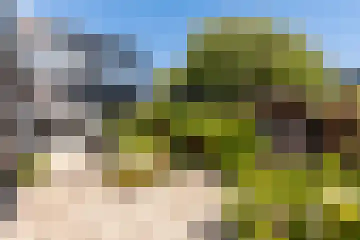 Arentsburg 122 Dordrecht thumbnail 33