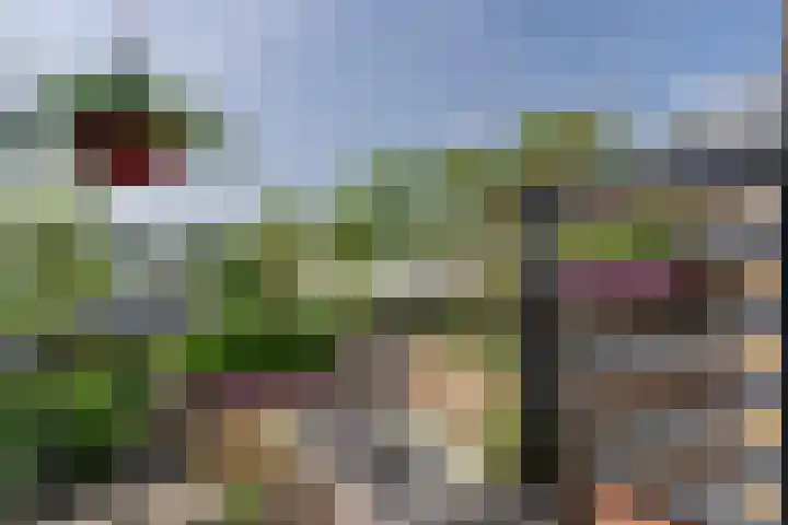 Arentsburg 16 Dordrecht thumbnail 32