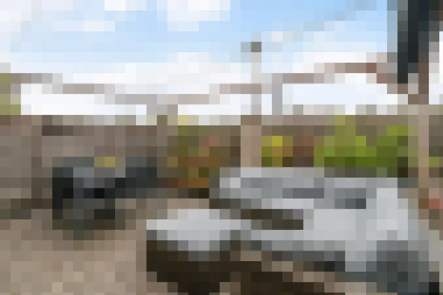 Arentsburg 42 Dordrecht thumbnail 18