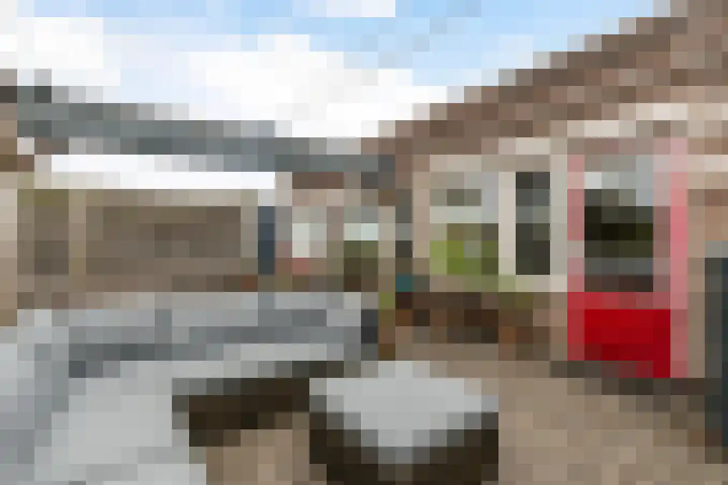 Arentsburg 42 Dordrecht thumbnail 20