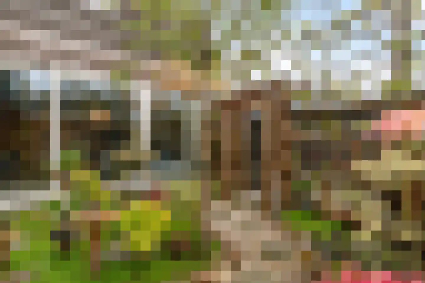 Arentsburg 42 Dordrecht thumbnail 22