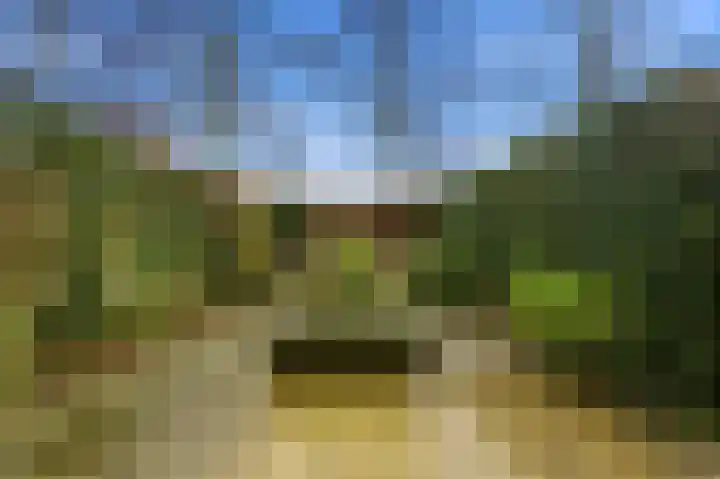 Arentsburg 71 Dordrecht thumbnail 32