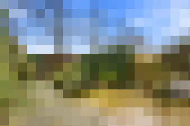 Arentsburg 71 Dordrecht thumbnail 33