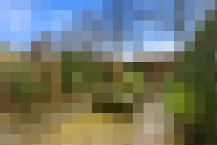 Arentsburg 71 Dordrecht thumbnail 34