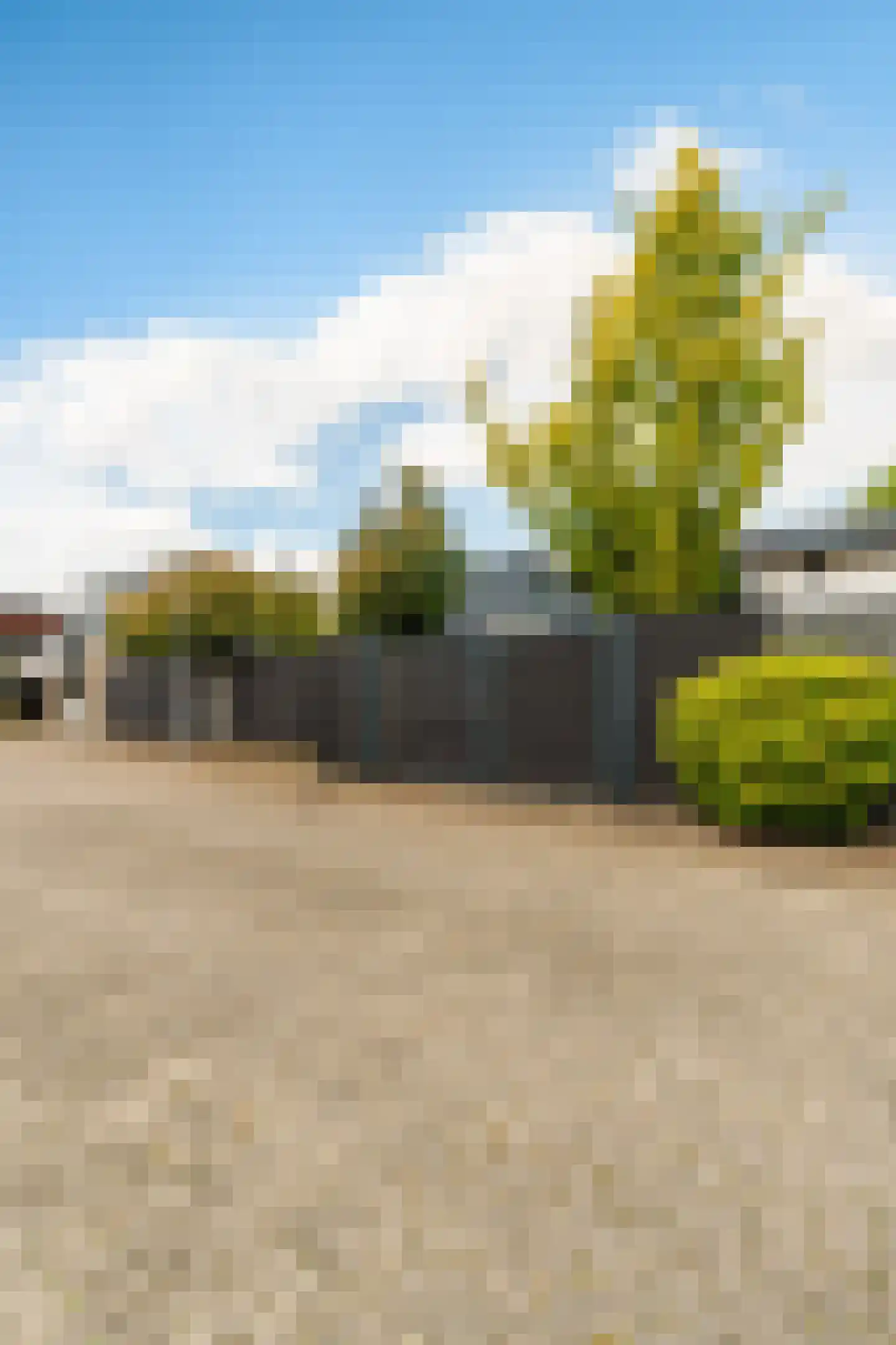 Arentsburg 76 Dordrecht thumbnail 41
