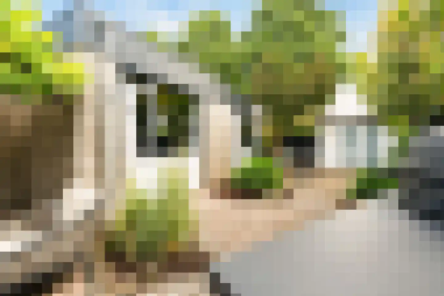 Arentsburg 76 Dordrecht thumbnail 5