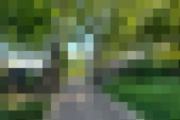 Arentsburghlaan 28 Voorburg thumbnail 5