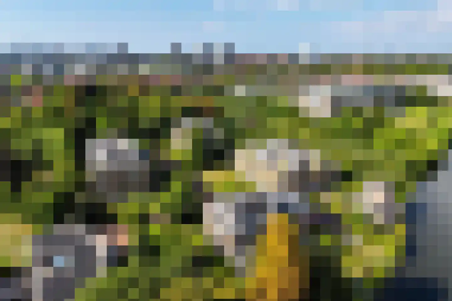 Arentsburghlaan 84 Voorburg foto 2