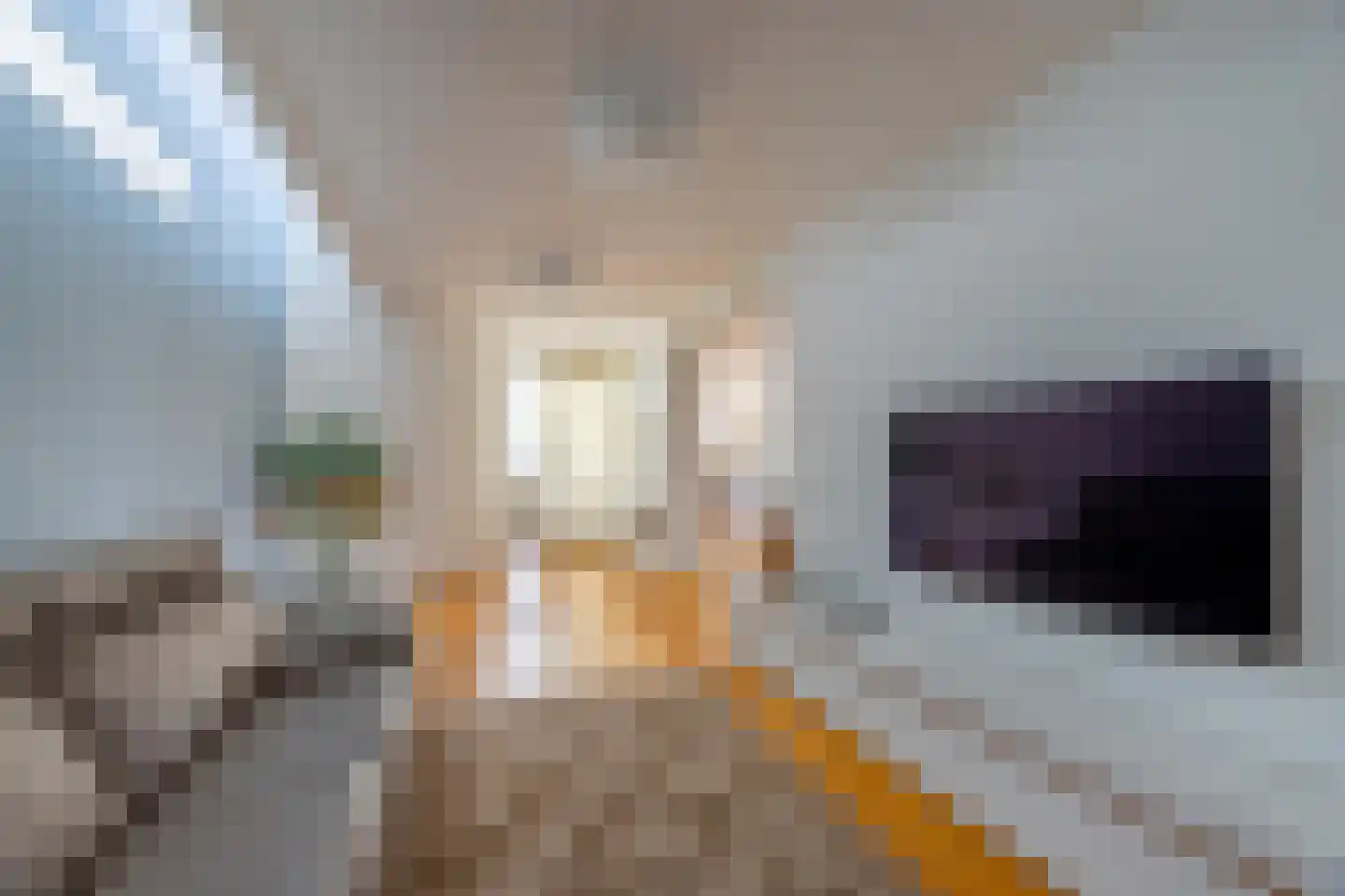 Arentsburghlaan 84 Voorburg thumbnail 24