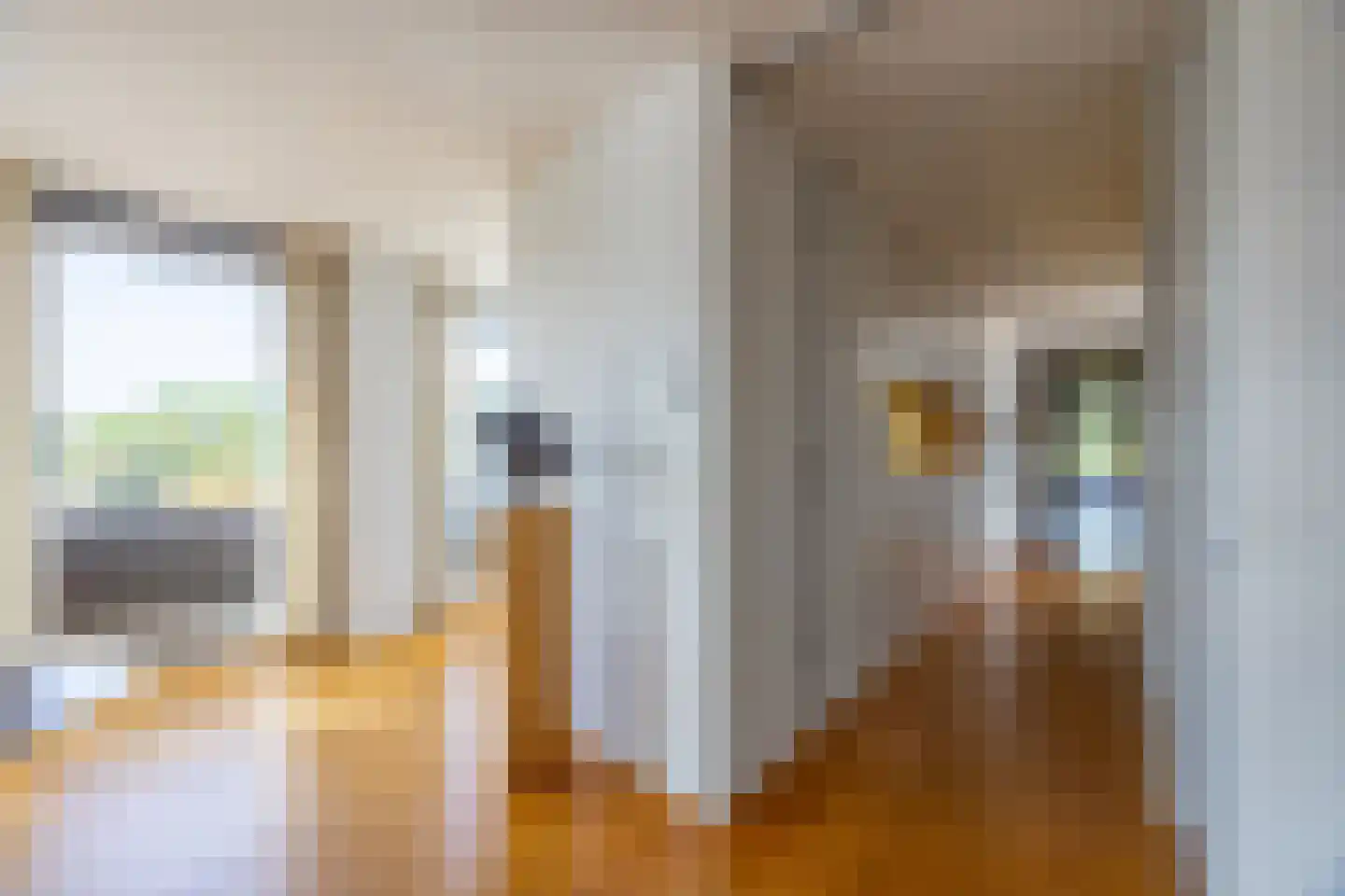 Arentsburghlaan 84 Voorburg thumbnail 29