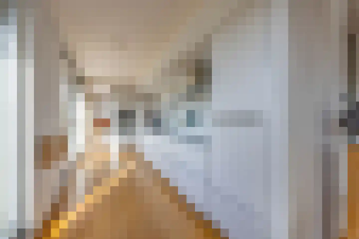 Arentsburghlaan 84 Voorburg thumbnail 30