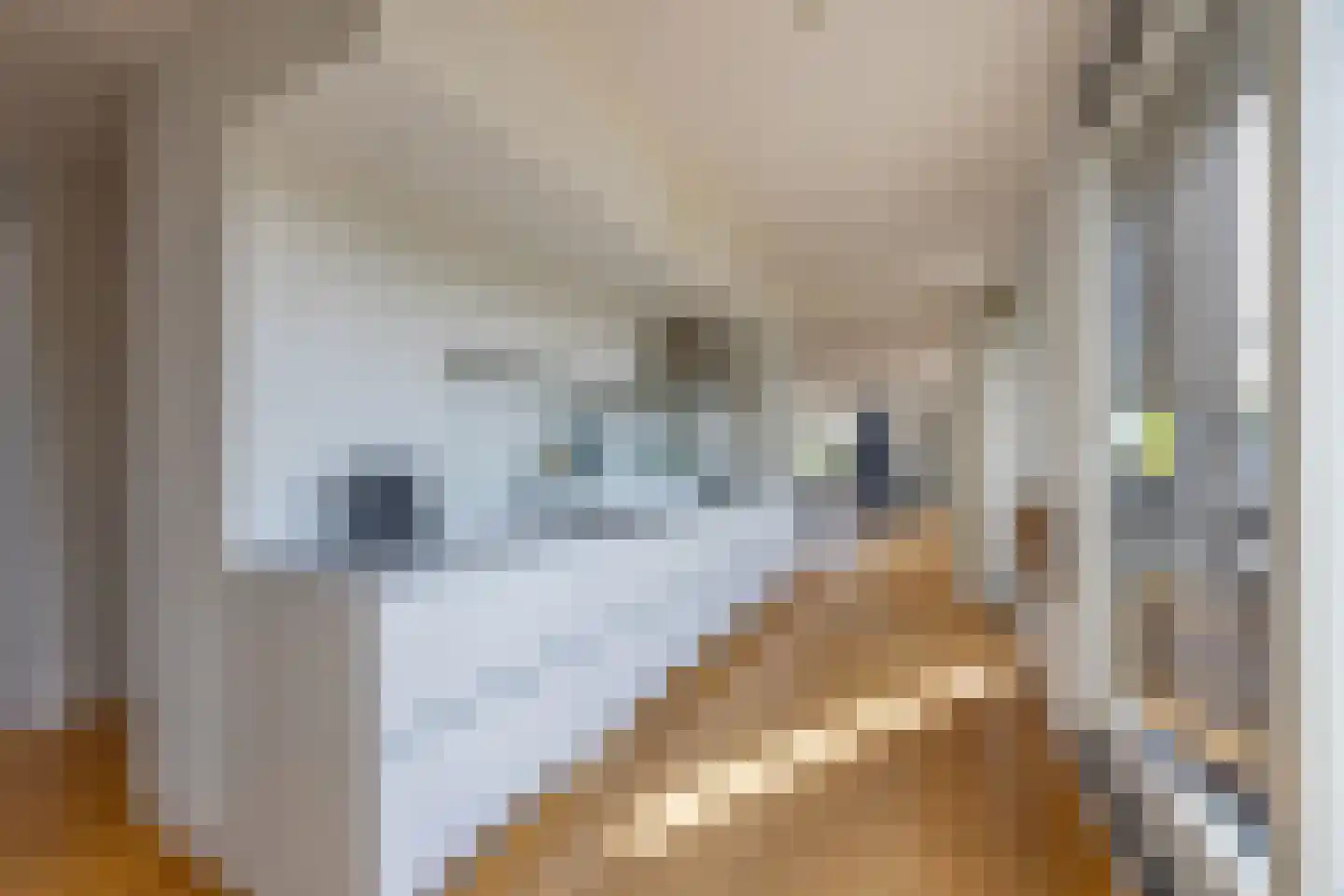 Arentsburghlaan 84 Voorburg thumbnail 32