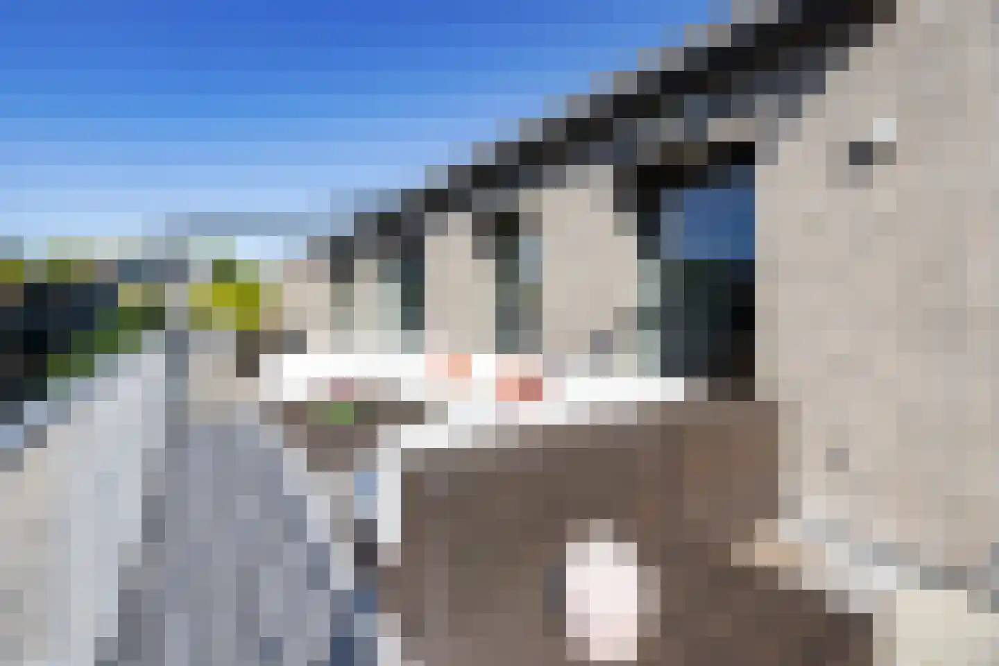 Arentsburghlaan 84 Voorburg thumbnail 41