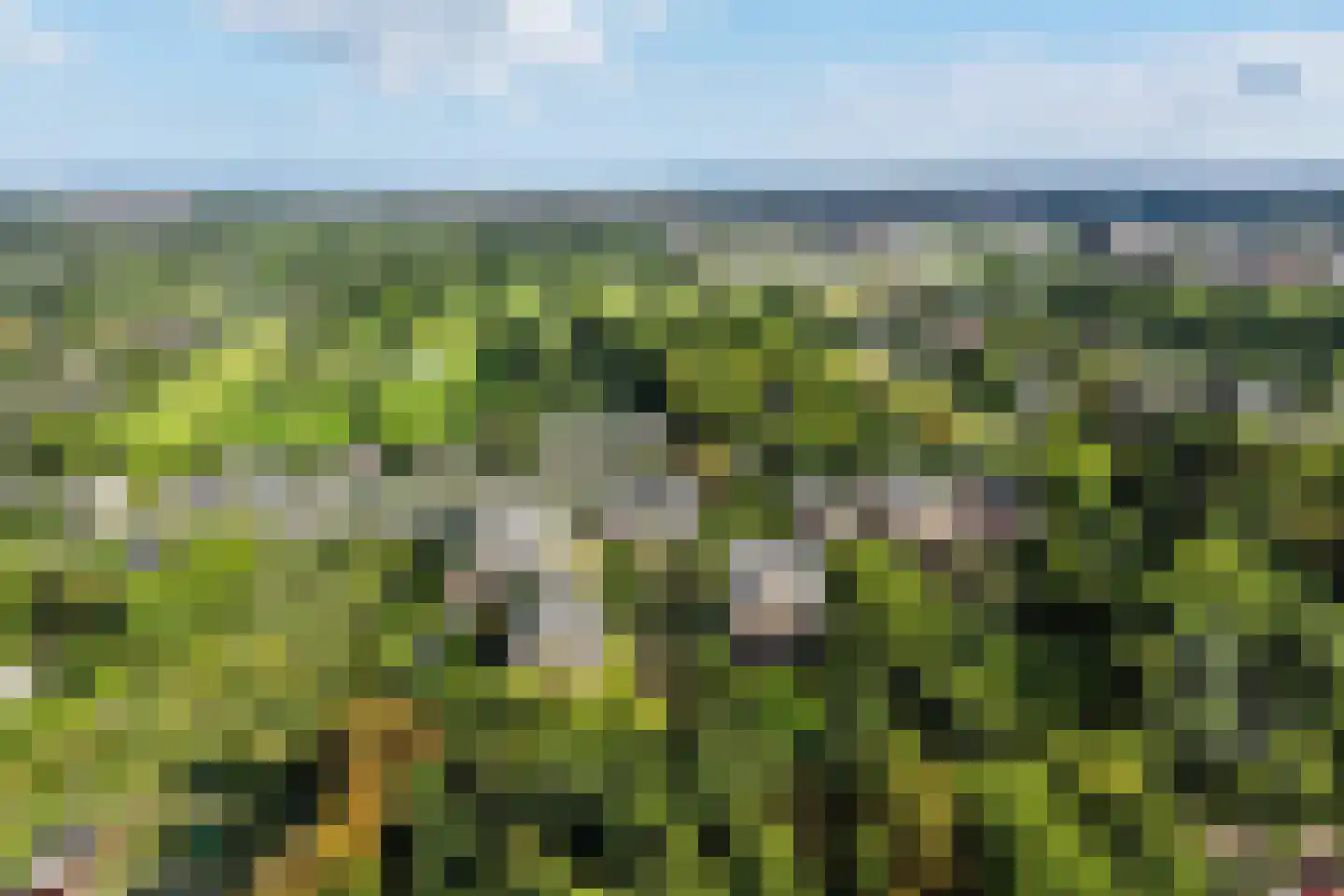 Arentsburghlaan 84 Voorburg thumbnail 47