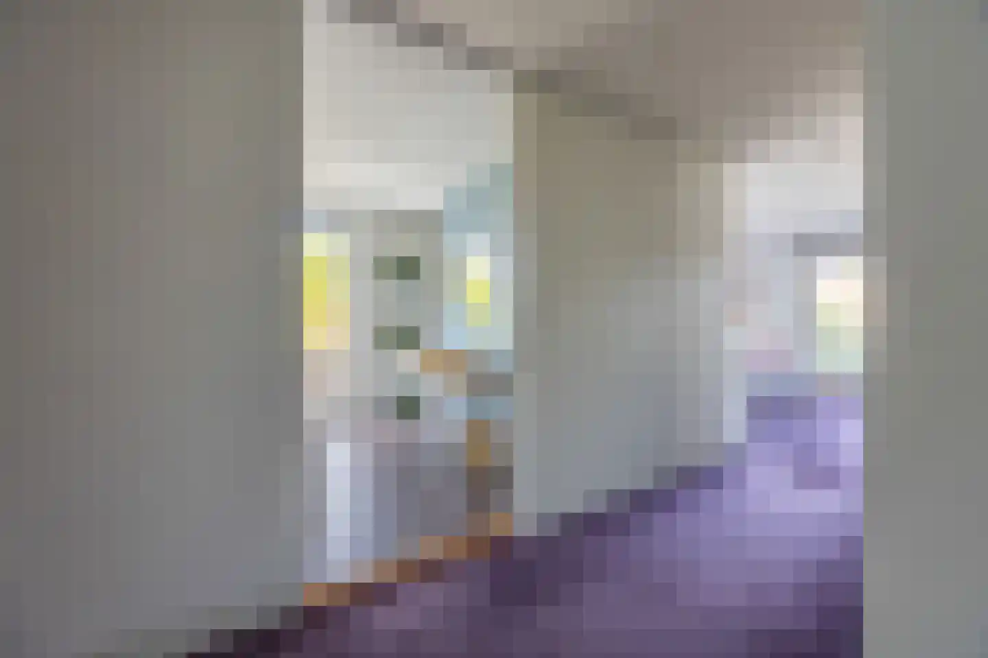 Arentsburghlaan 84 Voorburg thumbnail 58