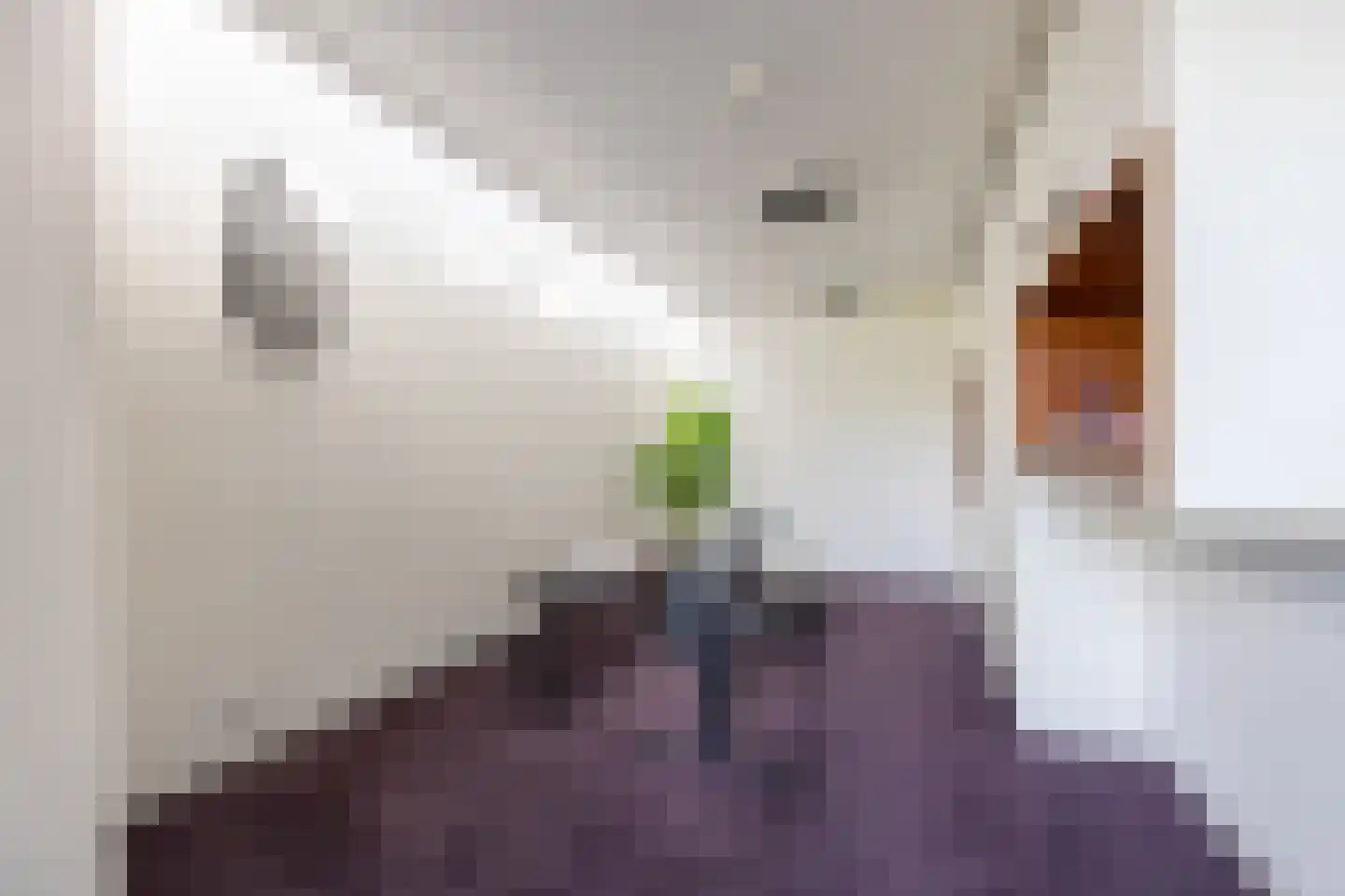 Arentsburghlaan 84 Voorburg thumbnail 69