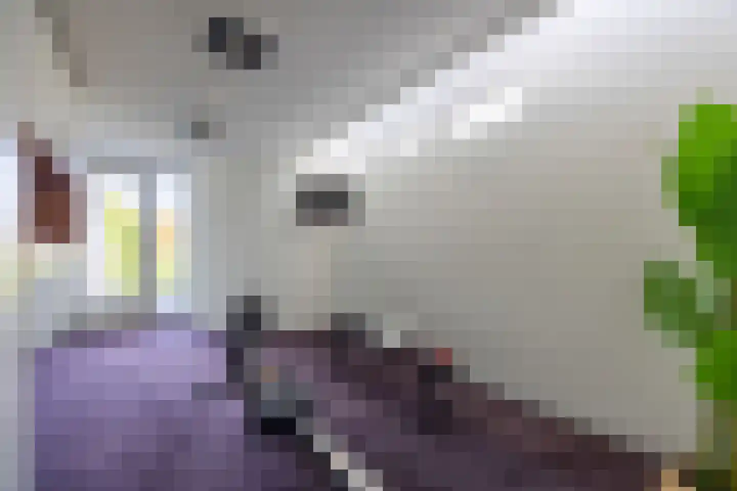 Arentsburghlaan 84 Voorburg thumbnail 71