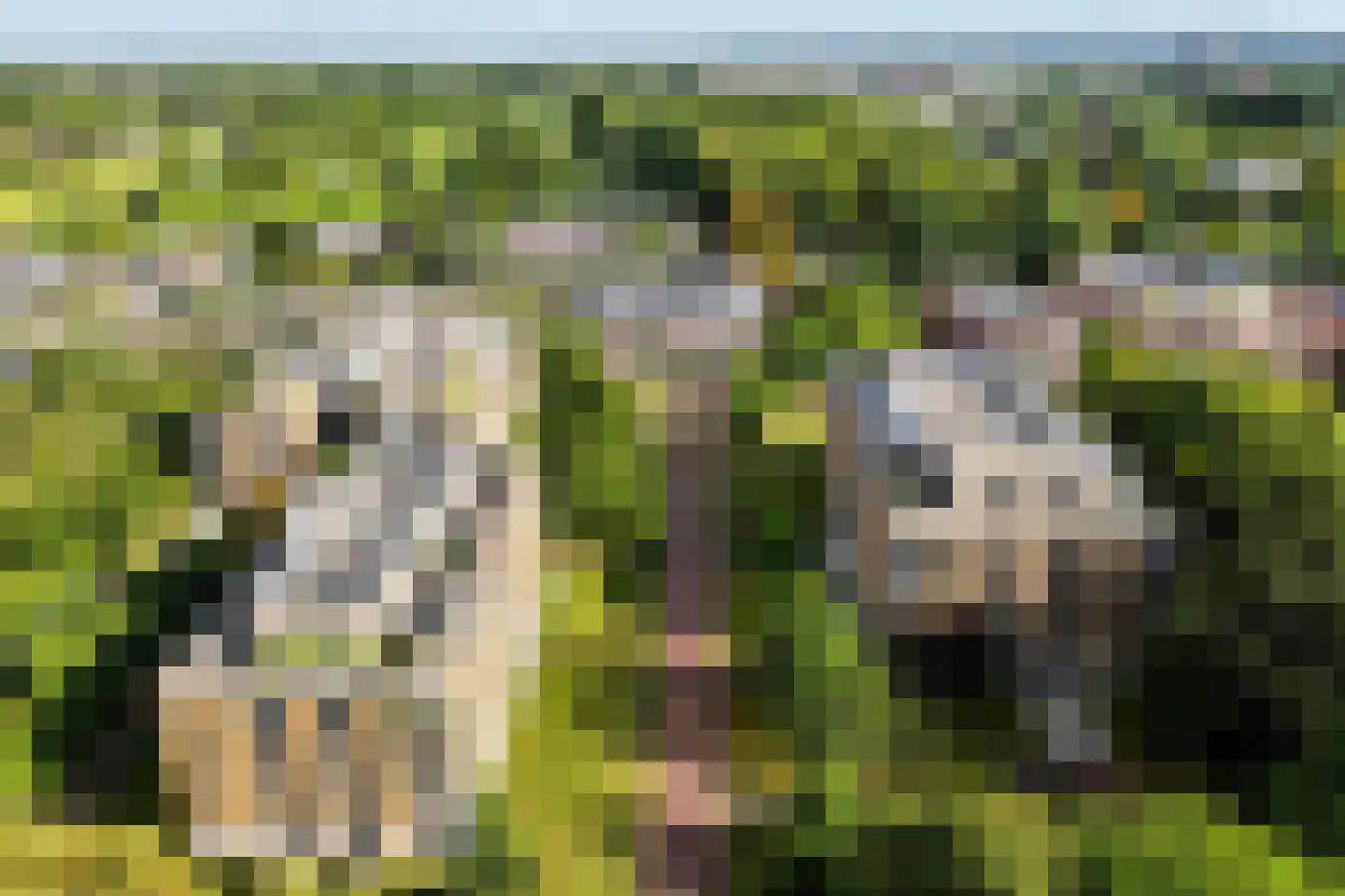 Arentsburghlaan 84 Voorburg thumbnail 81