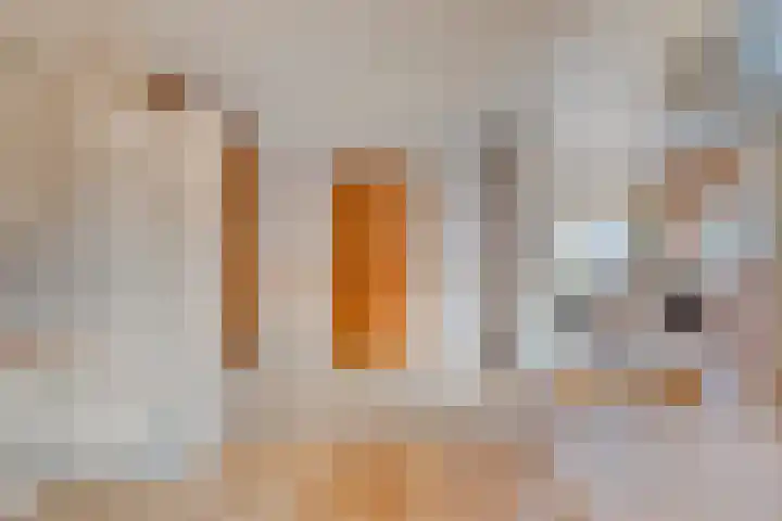 Arentzenstraat 5 Varsseveld thumbnail 16