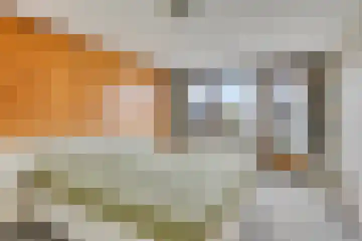 Arentzenstraat 5 Varsseveld thumbnail 24