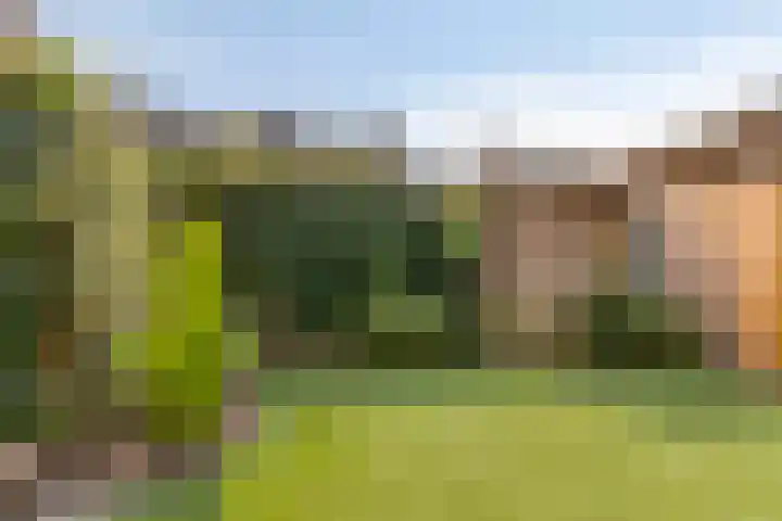 Arentzenstraat 5 Varsseveld thumbnail 5