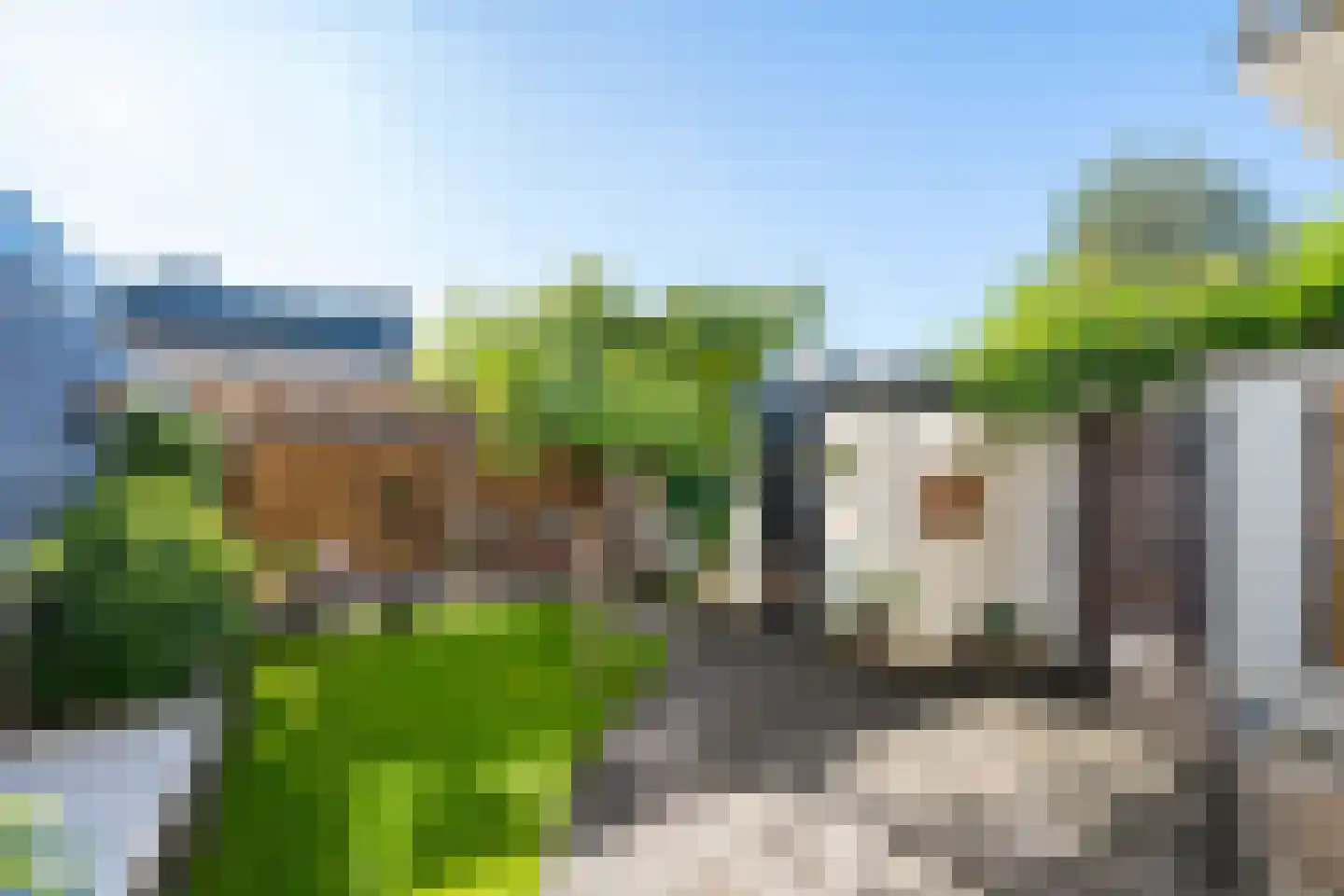 Arentzenstraat 7 Varsseveld thumbnail 10