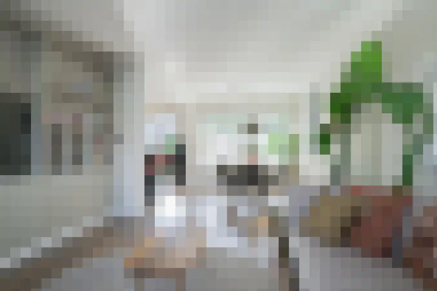 Arentzenstraat 7 Varsseveld thumbnail 22