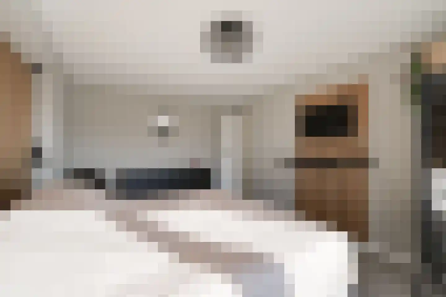 Arentzenstraat 7 Varsseveld thumbnail 30