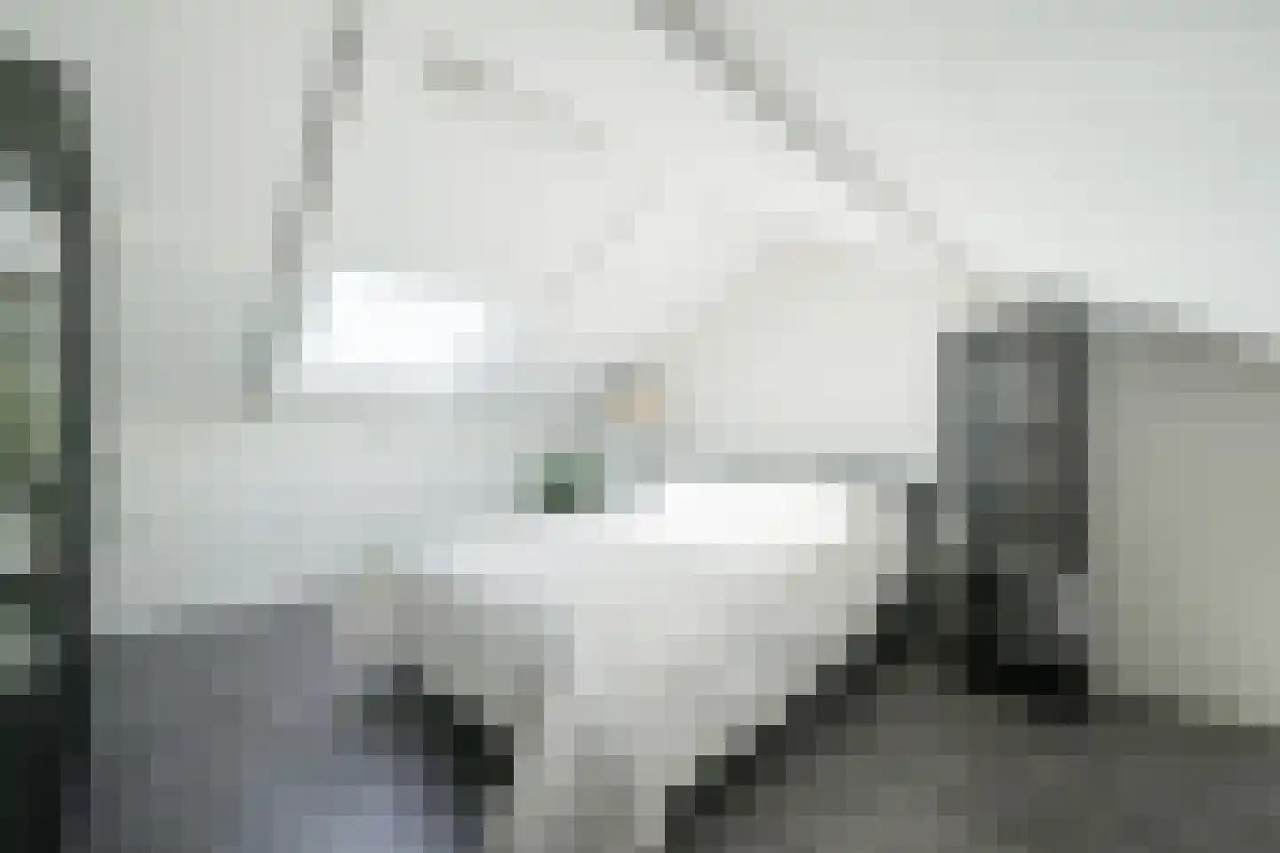 Arentzenstraat 7 Varsseveld thumbnail 39