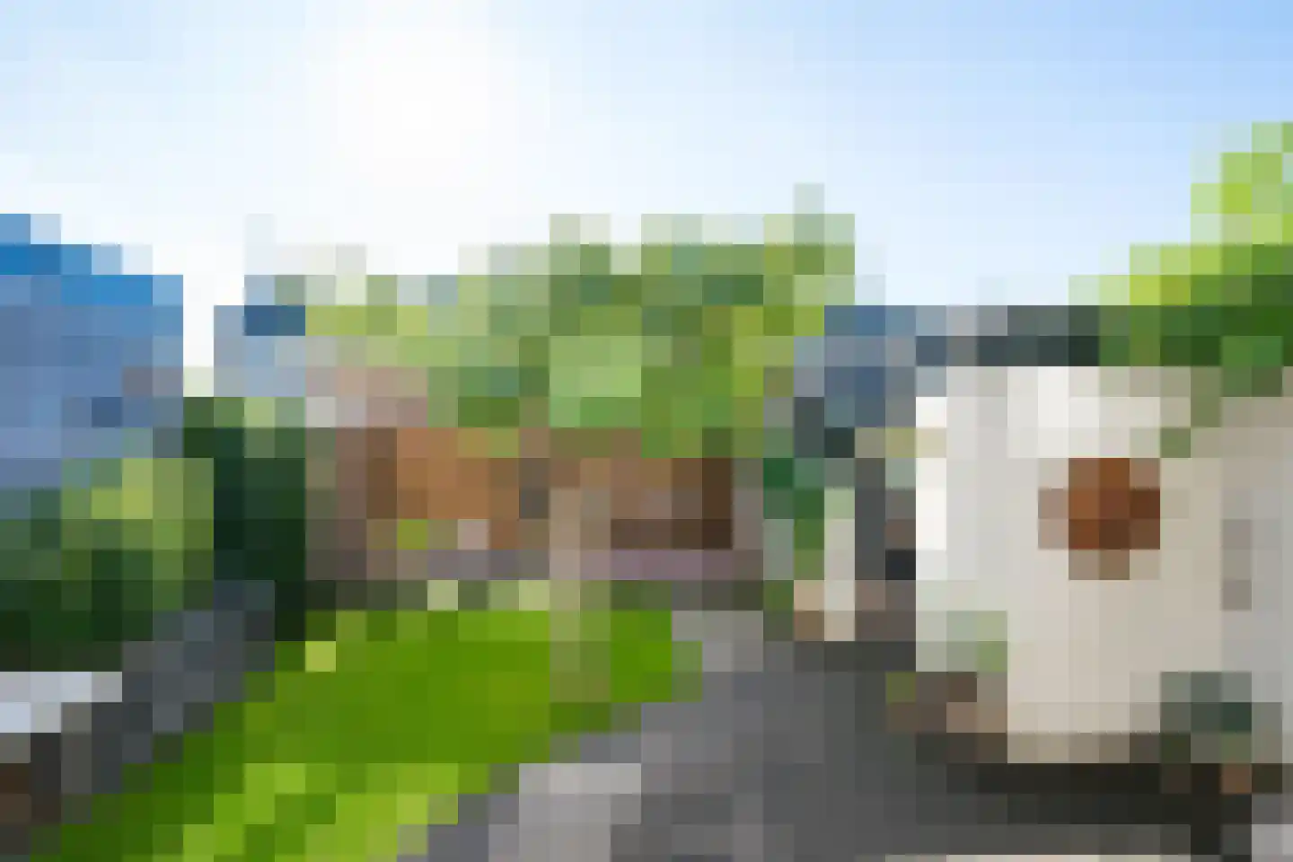 Arentzenstraat 7 Varsseveld thumbnail 43