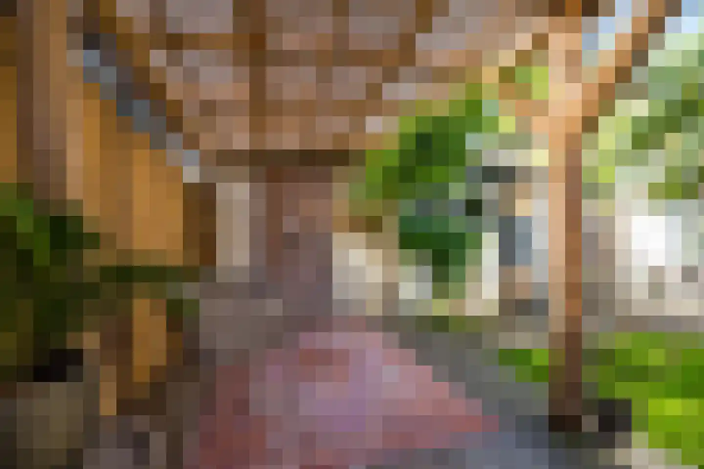 Arentzenstraat 7 Varsseveld thumbnail 47