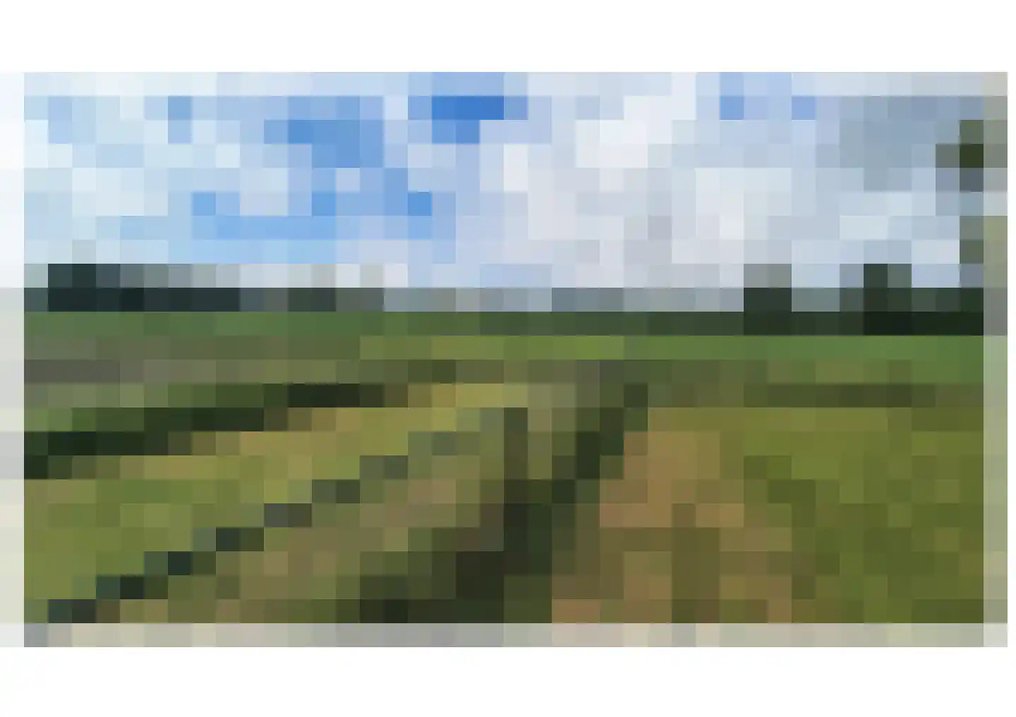 Arenveld 24 Zetten thumbnail 12