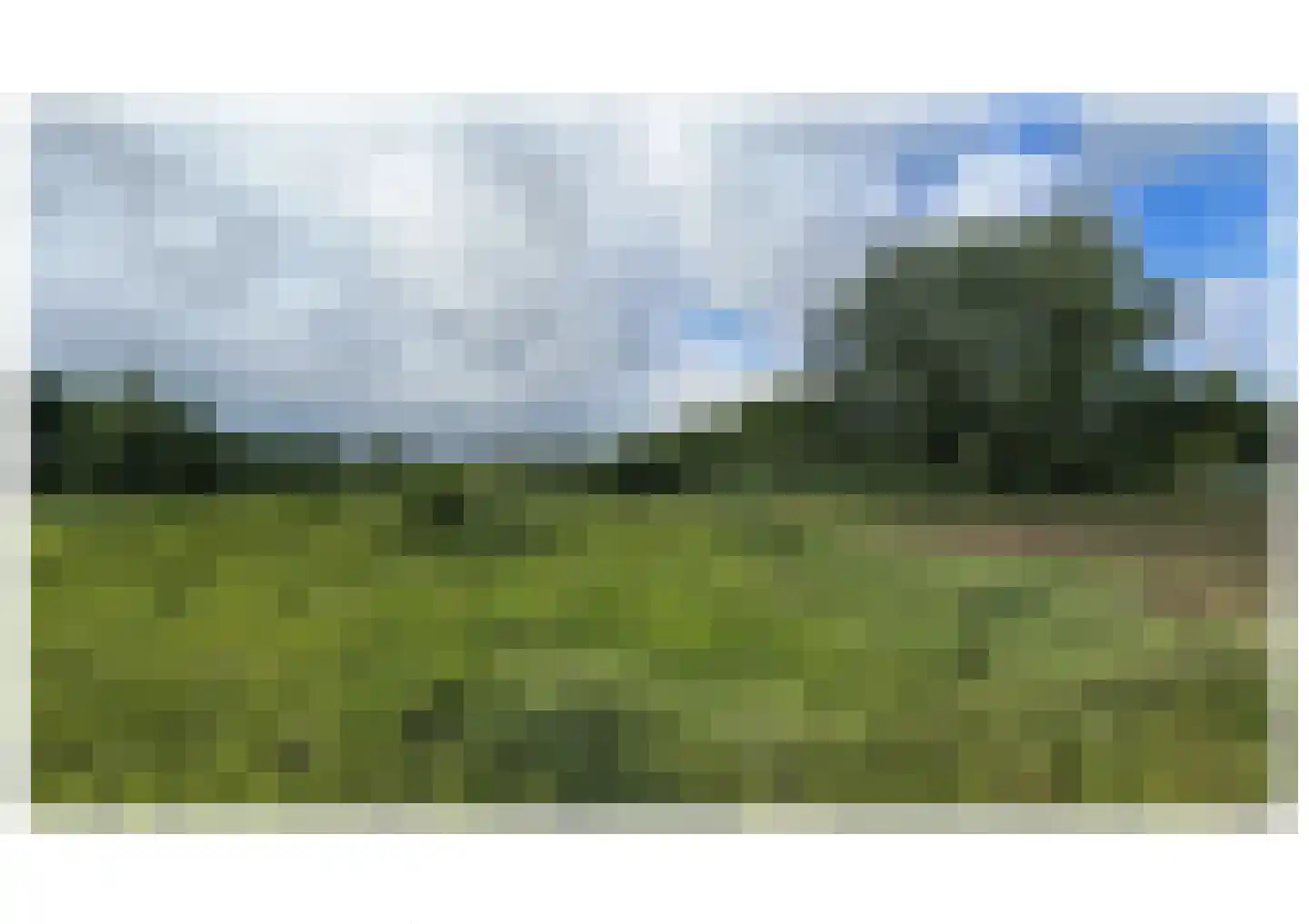 Arenveld 24 Zetten thumbnail 4