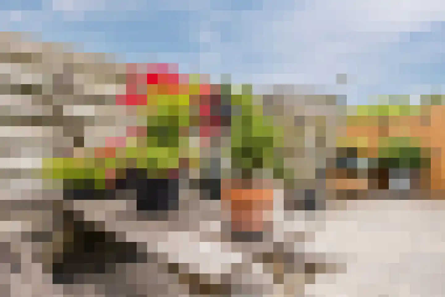 Ares 17 Hellevoetsluis thumbnail 18