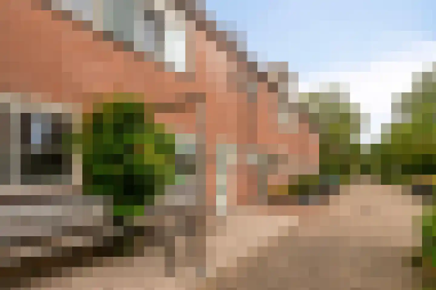 Arestraat 26 Purmerend thumbnail 32