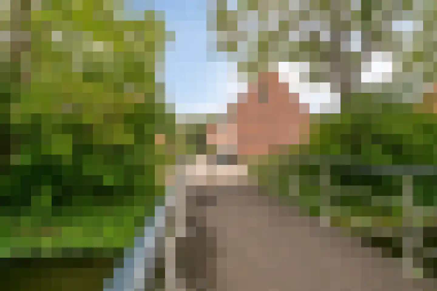Arestraat 26 Purmerend thumbnail 34
